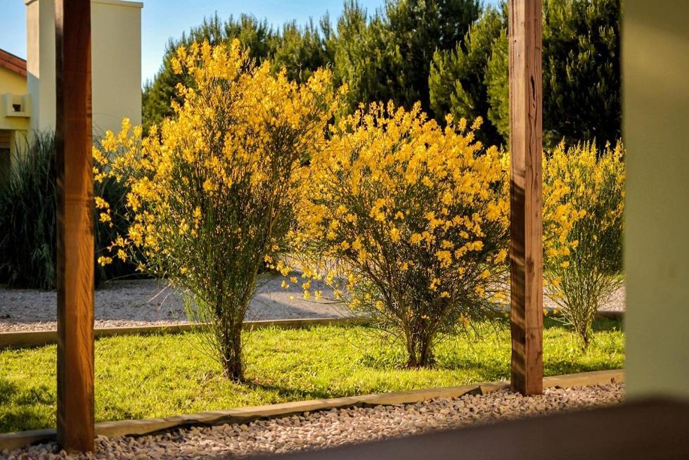 Cabanas De Las Pinturas Villa Sierra de la Ventana Exterior foto